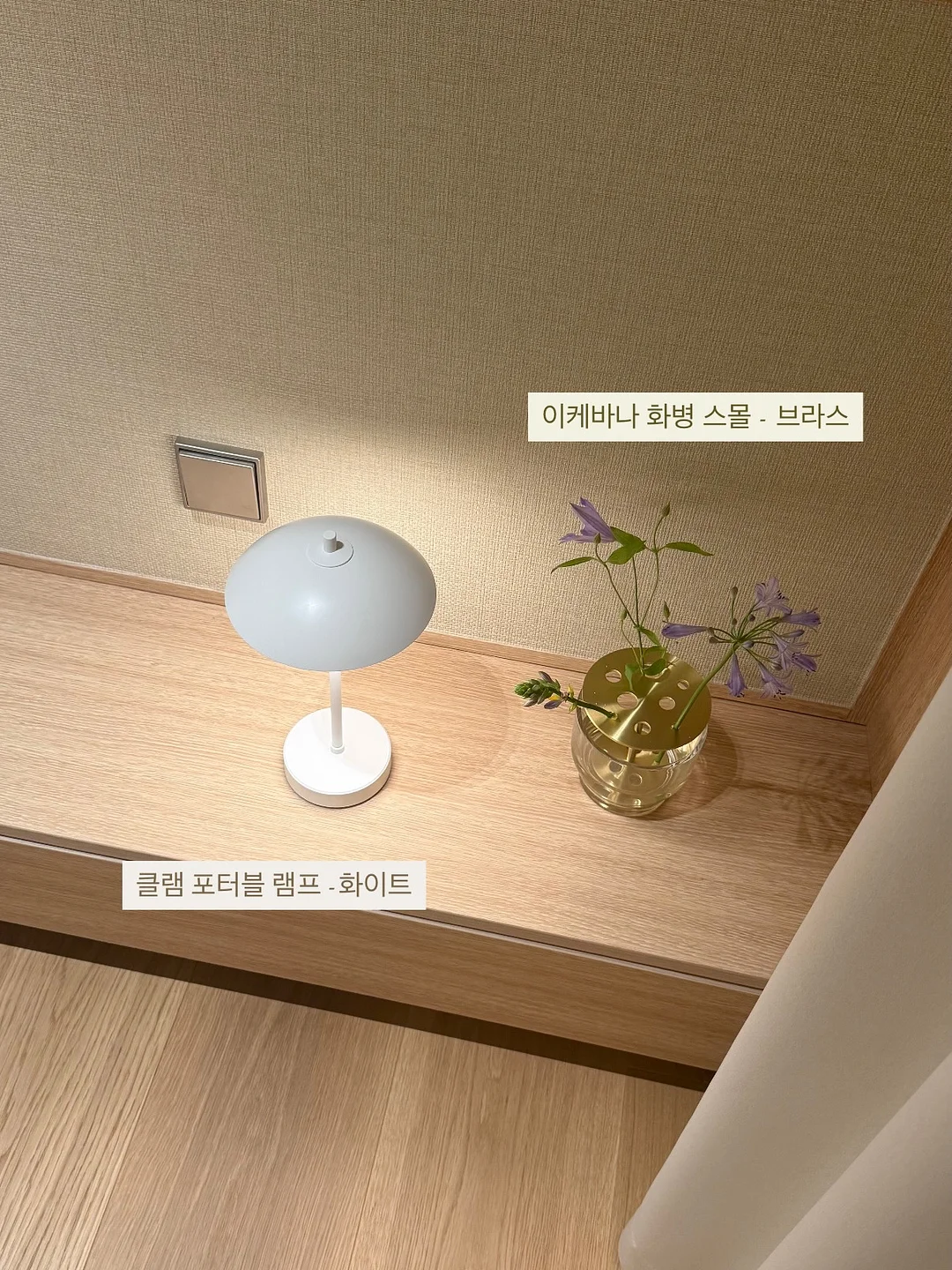 그라프 나비 15