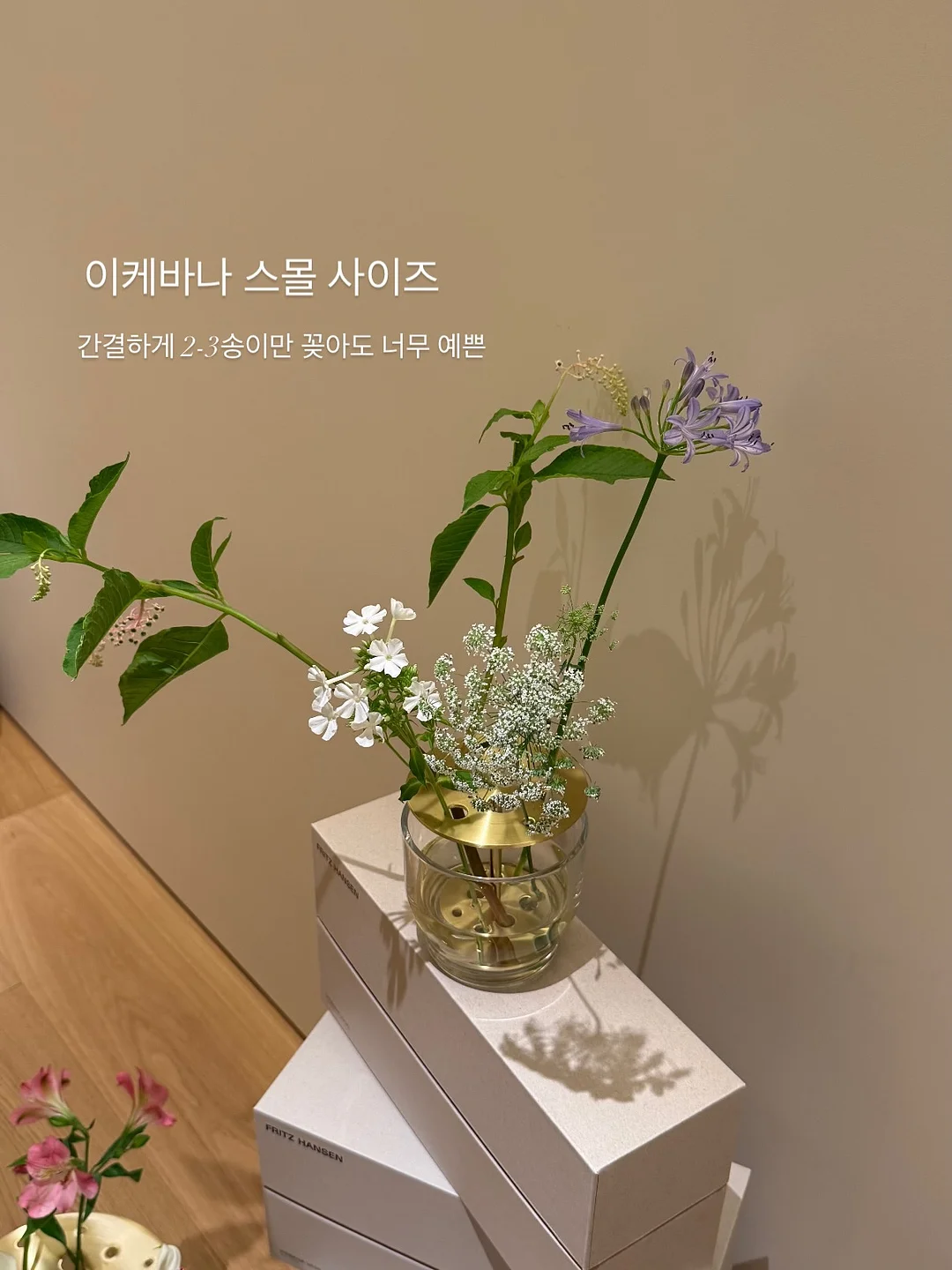 그라프 나비 10