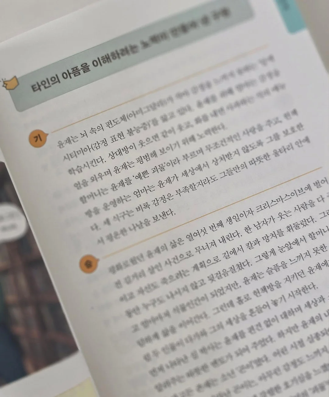 래쉬케어시스템 13