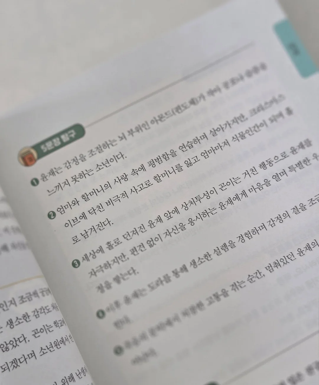 래쉬케어시스템 14