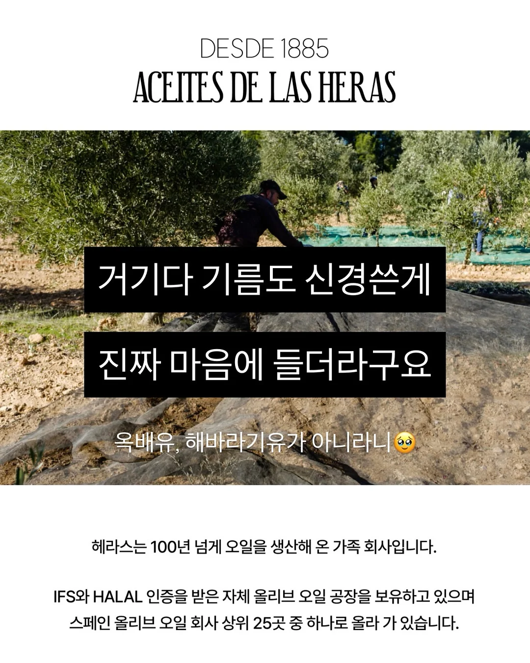 스테이이파도 숙소 13