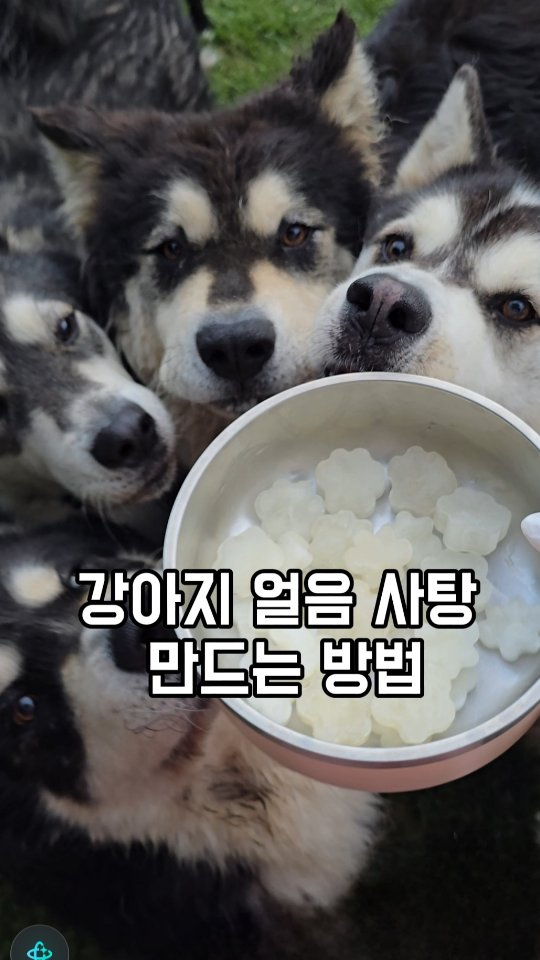 교회 채널 운영 가이드