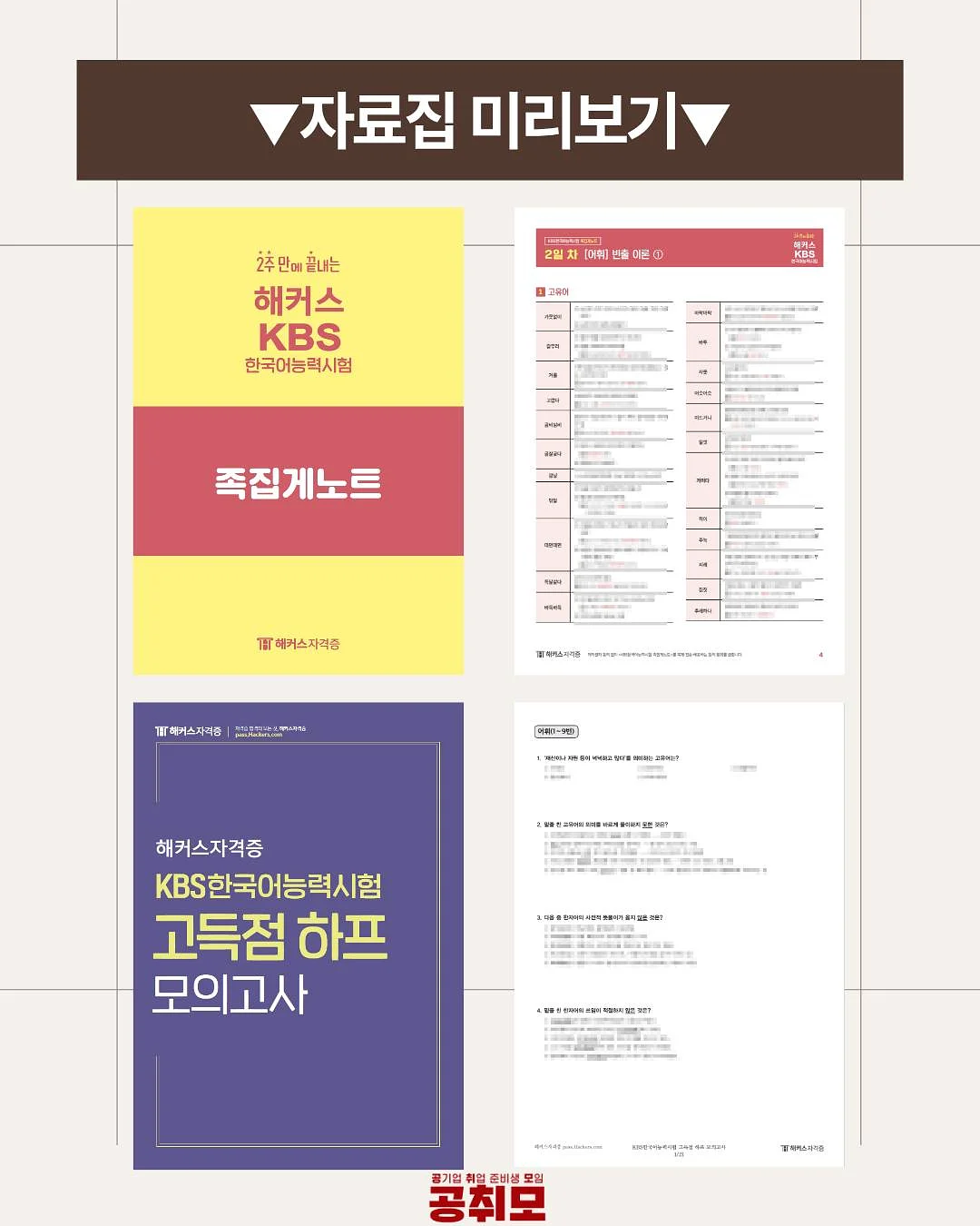 레이스 블라우스 2