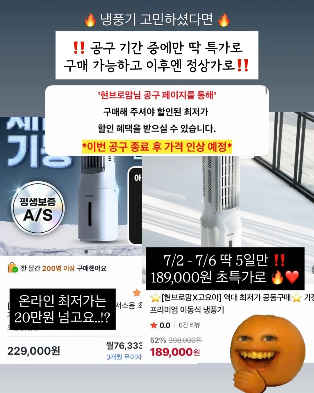 블렌드티 2