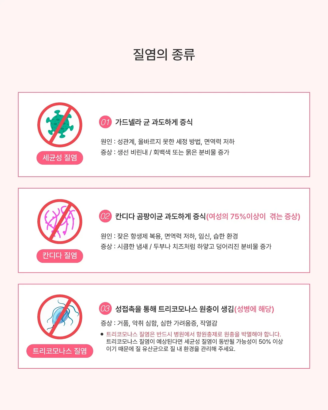 코코리 시그니처 맨투맨 7