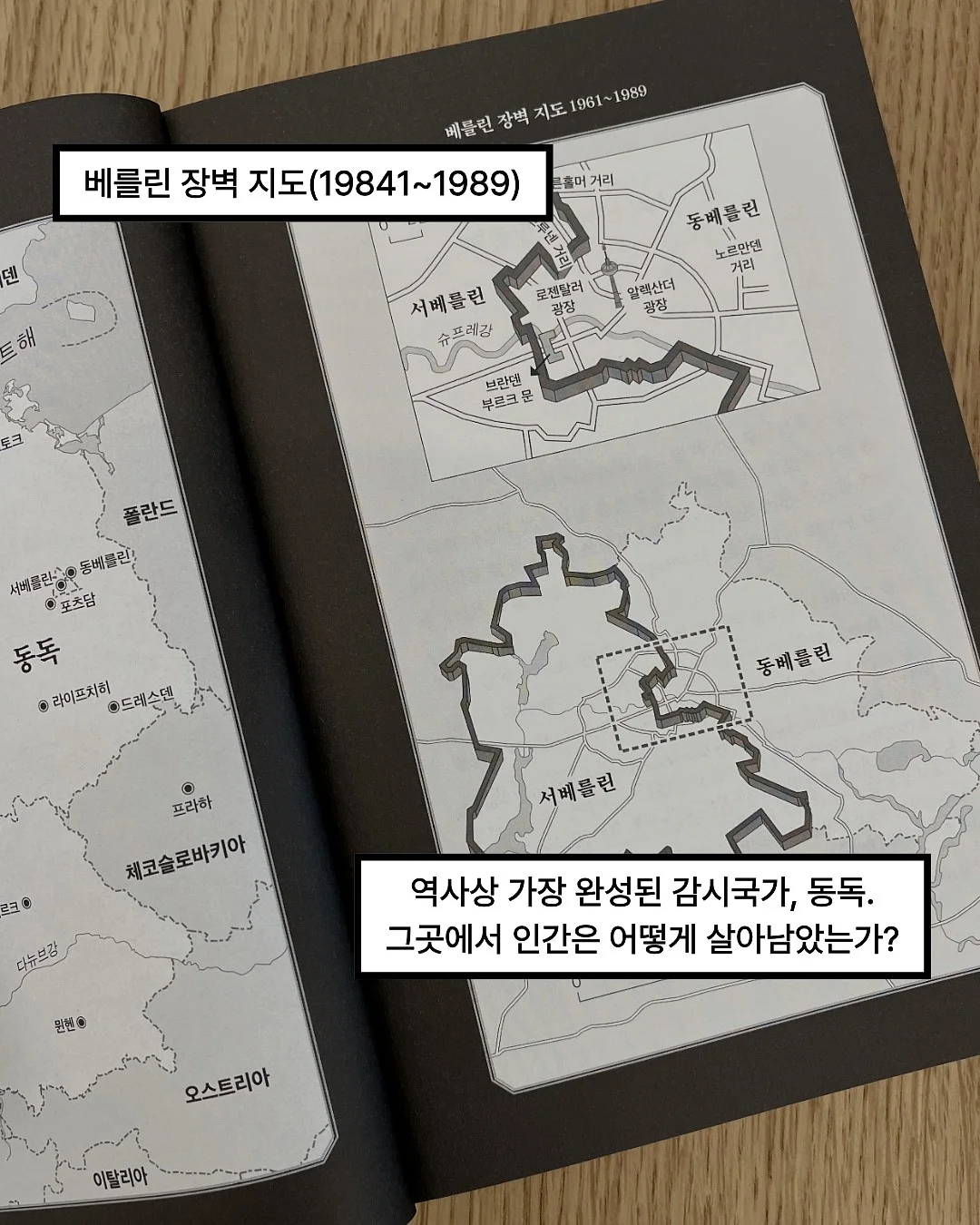 네오리아 올리브오일 2