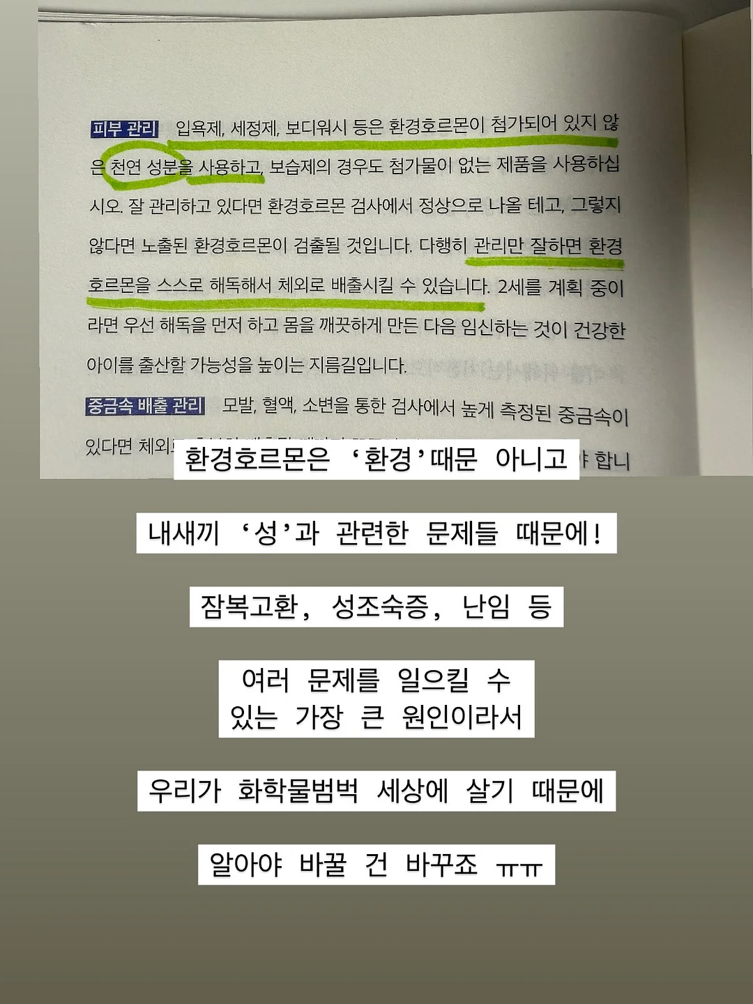 차량용 대시보드 커버 3