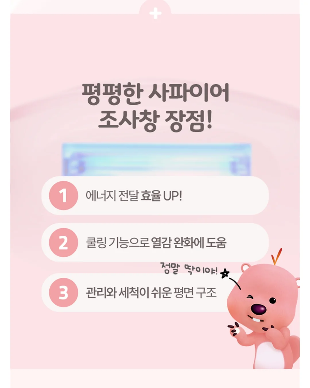 르시아 대게 3키로 11