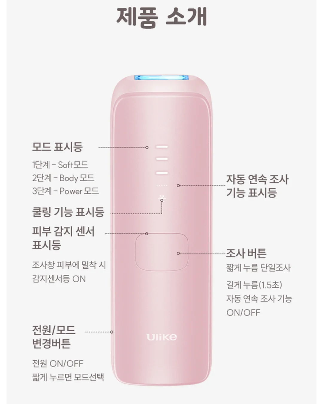 르시아 대게 3키로 15