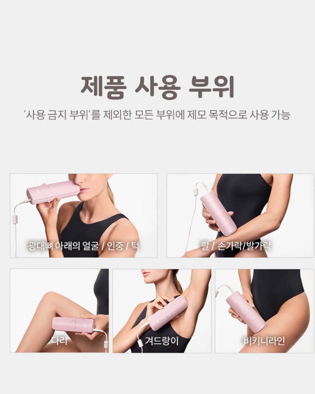 르시아 대게 3키로 17