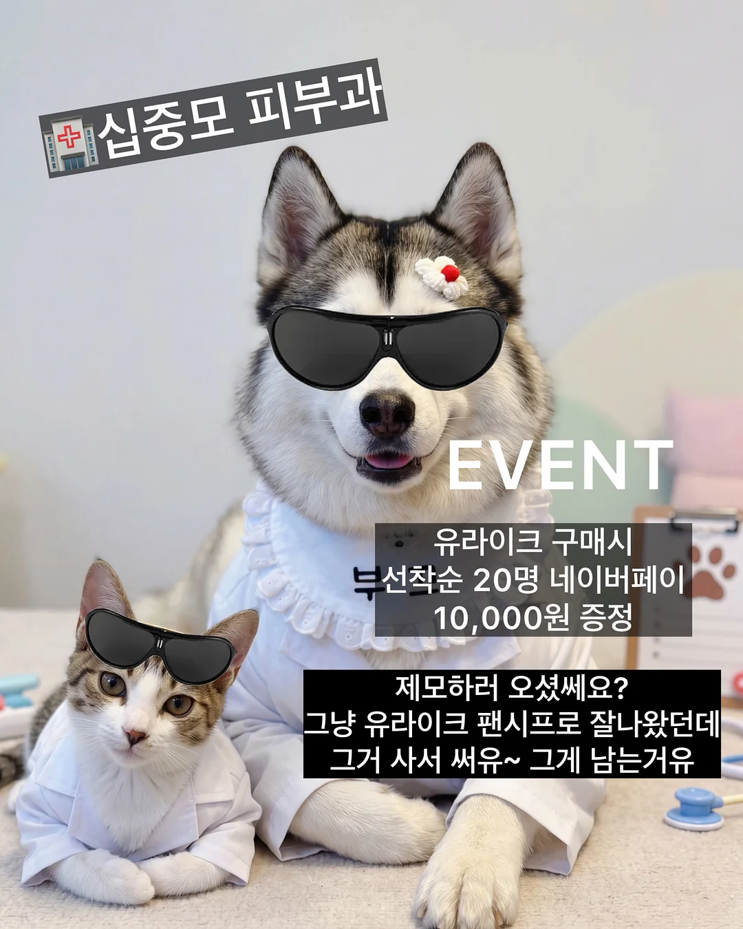 르시아 대게 3키로 2