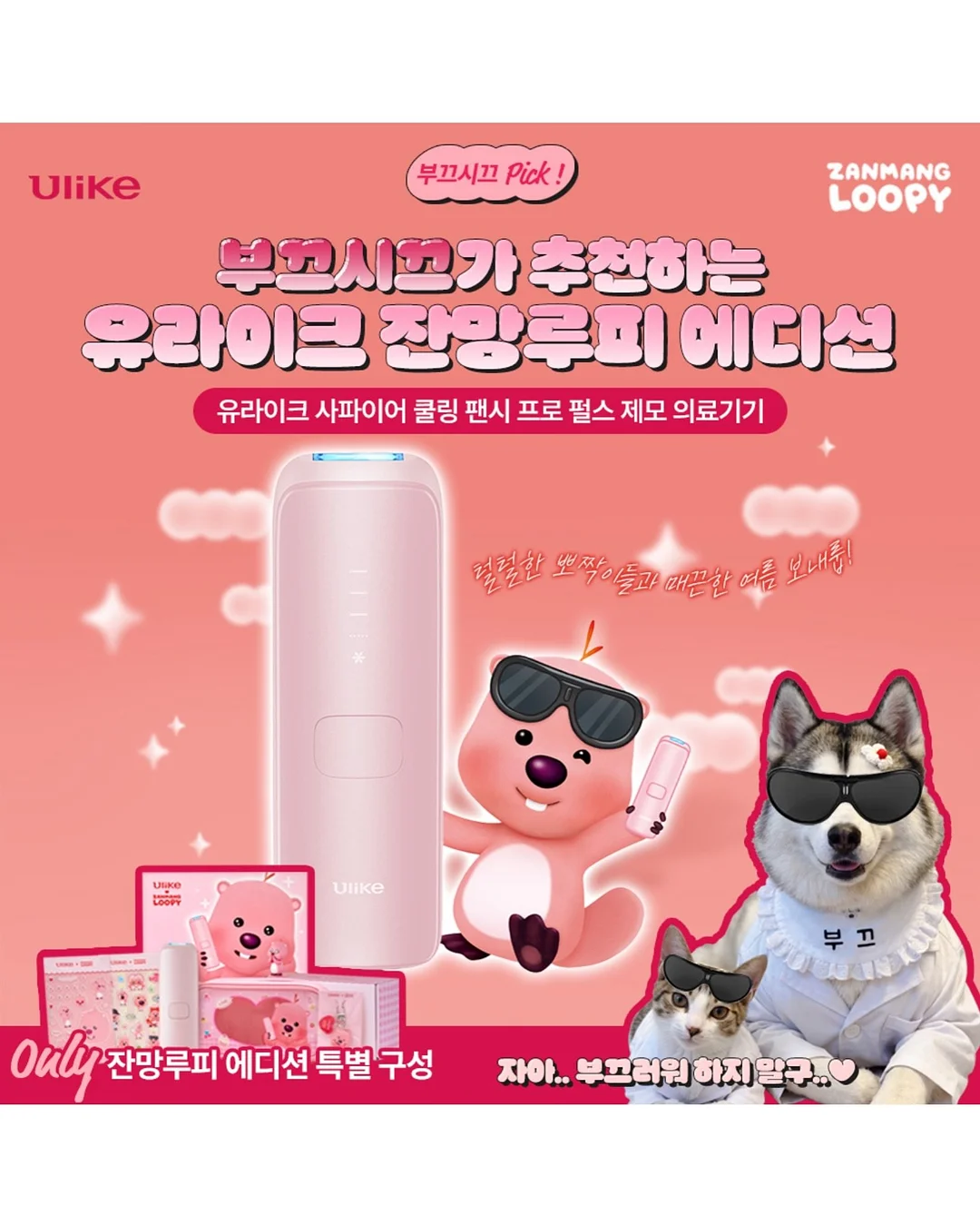 르시아 대게 3키로 4