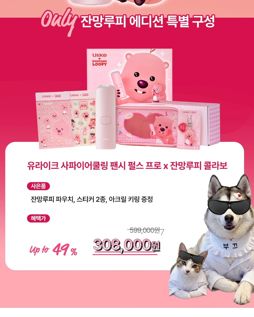 르시아 대게 3키로 5