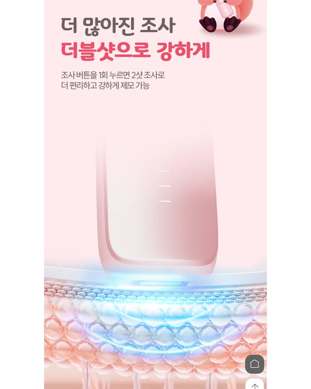 르시아 대게 3키로 6
