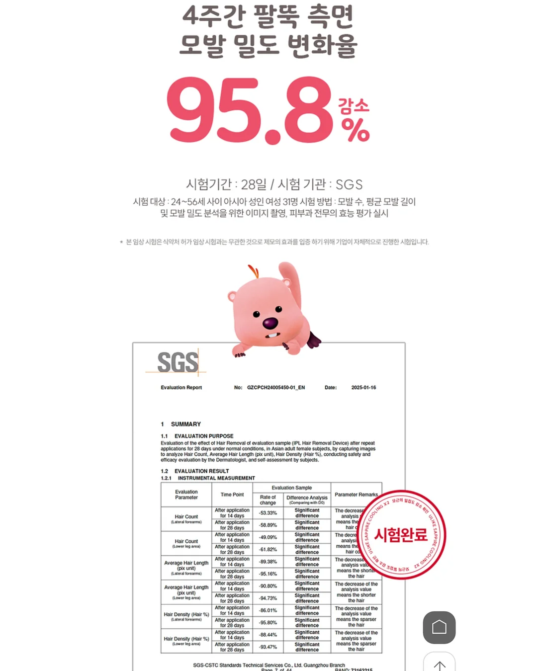 르시아 대게 3키로 8