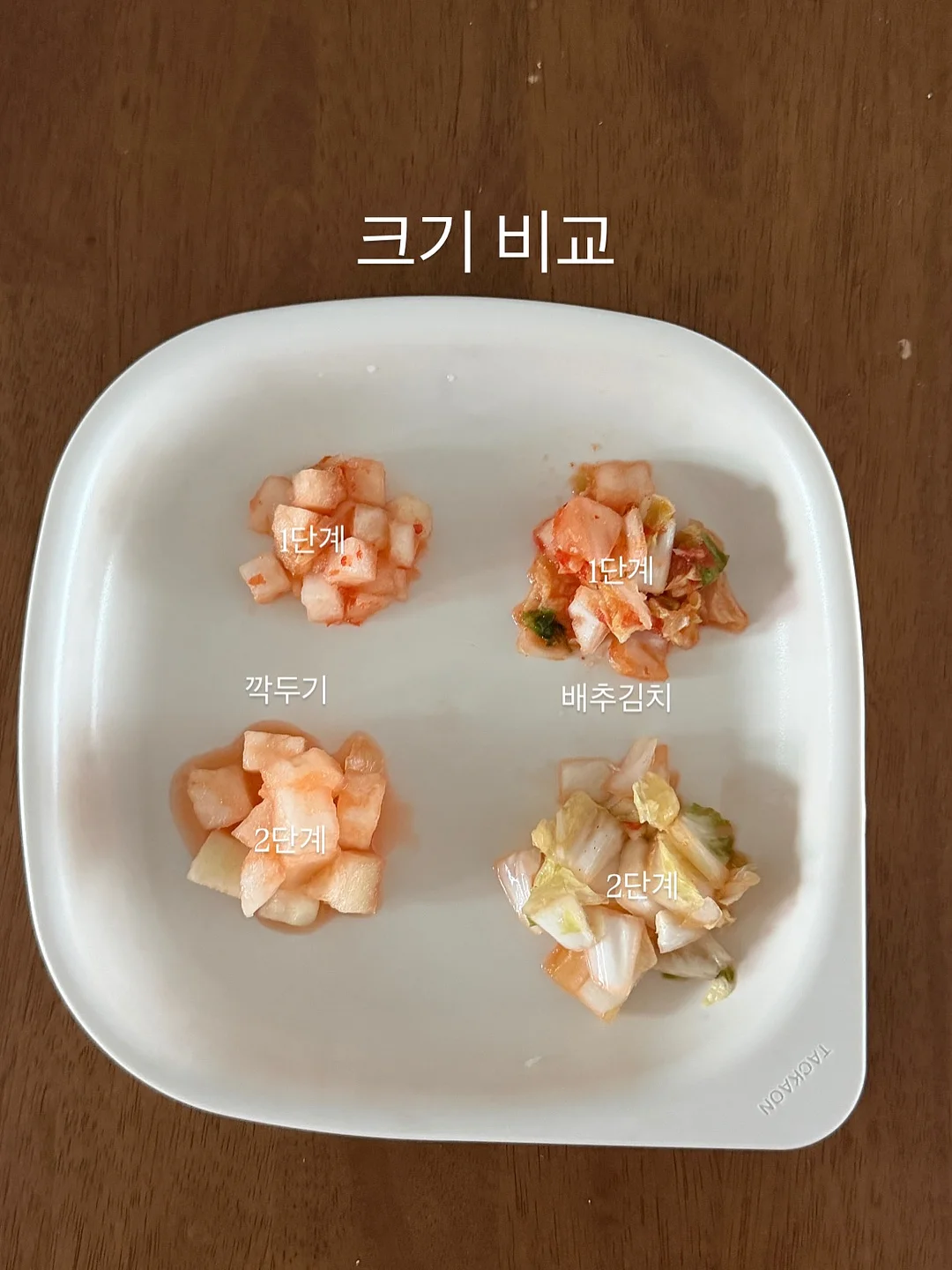 폴라로이드 디자인 자석 9