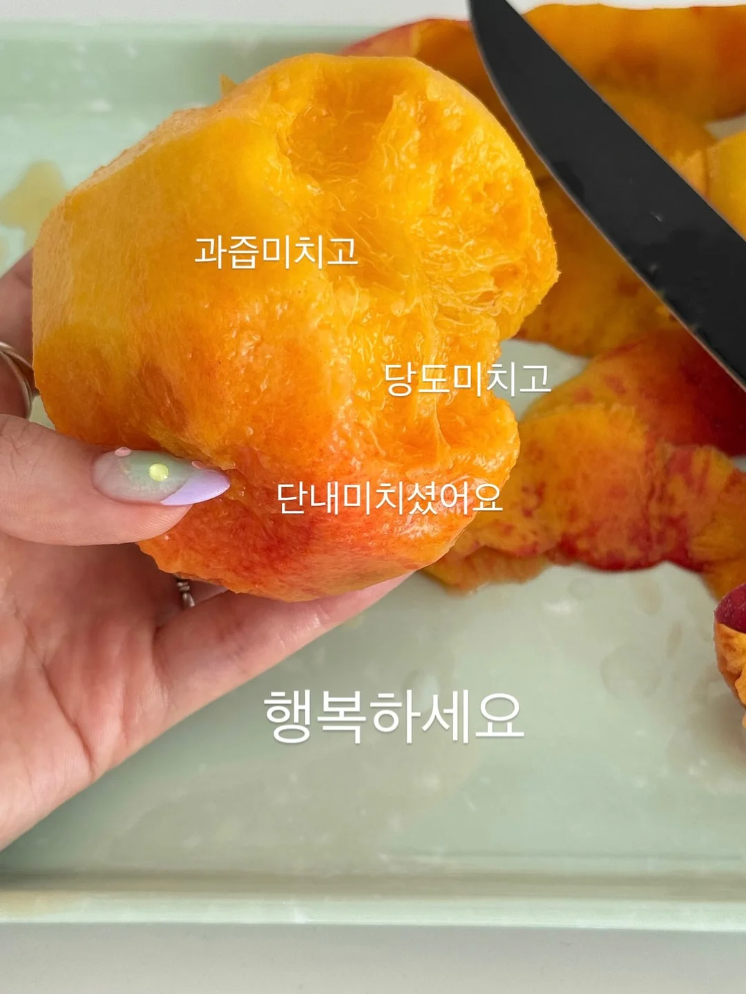 아이언츄 철분제