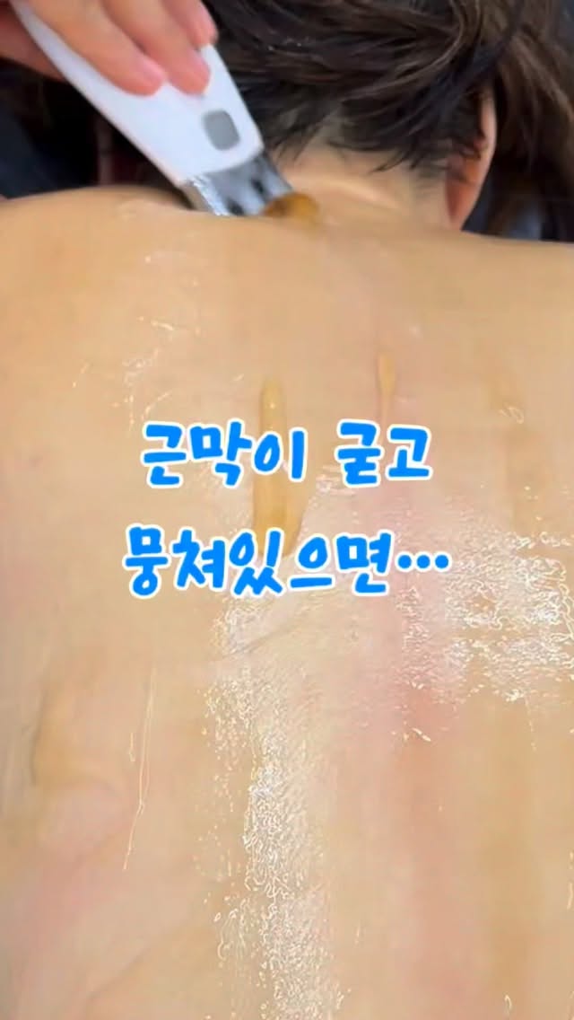 스키주 스쿨버스