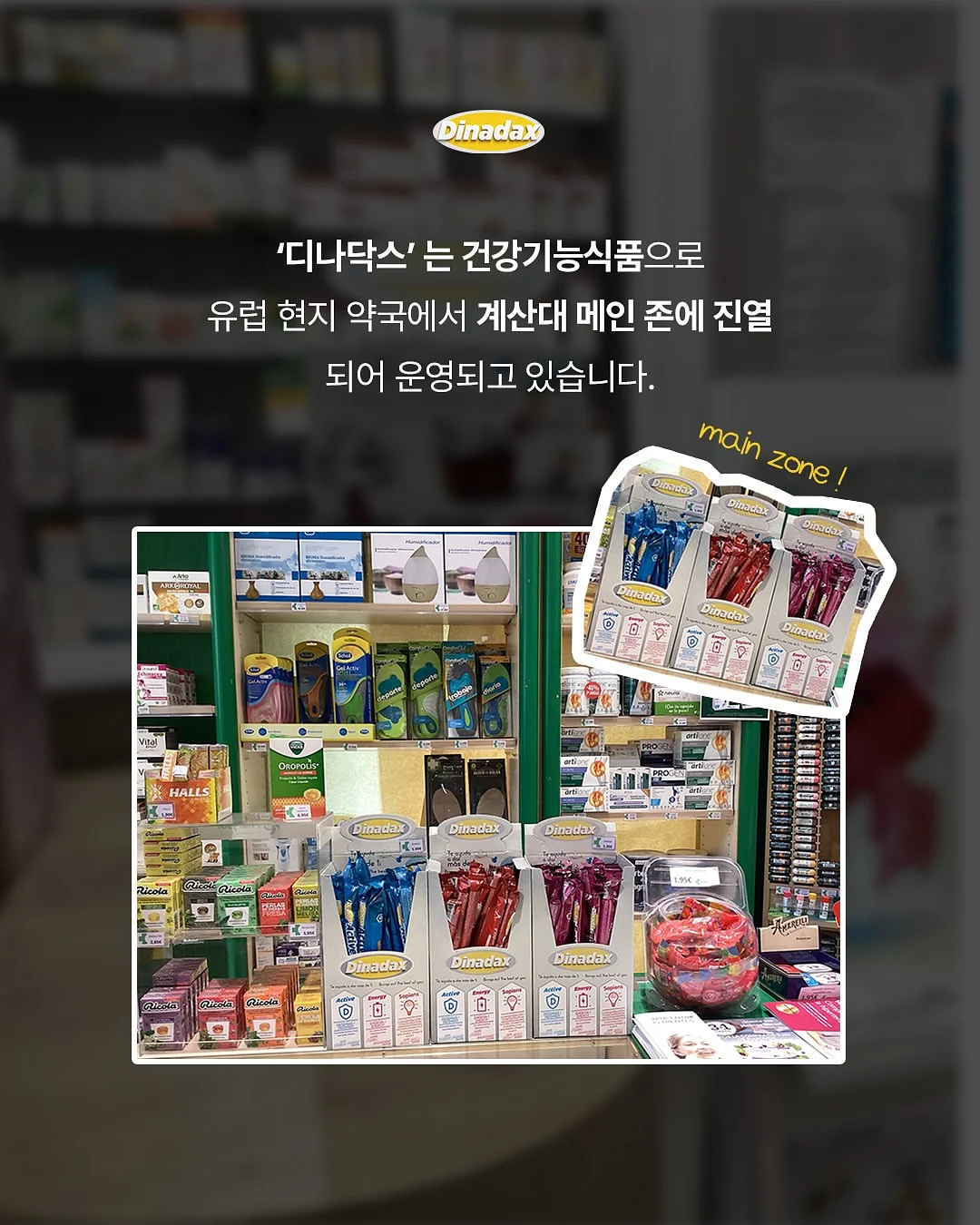 현관 타일 3