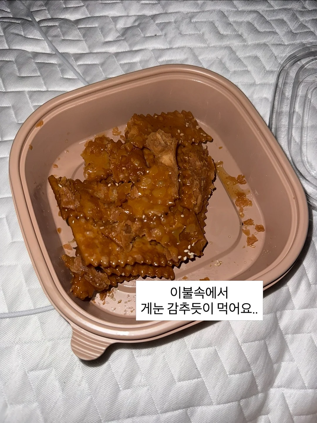 댄스 콤팩트 11