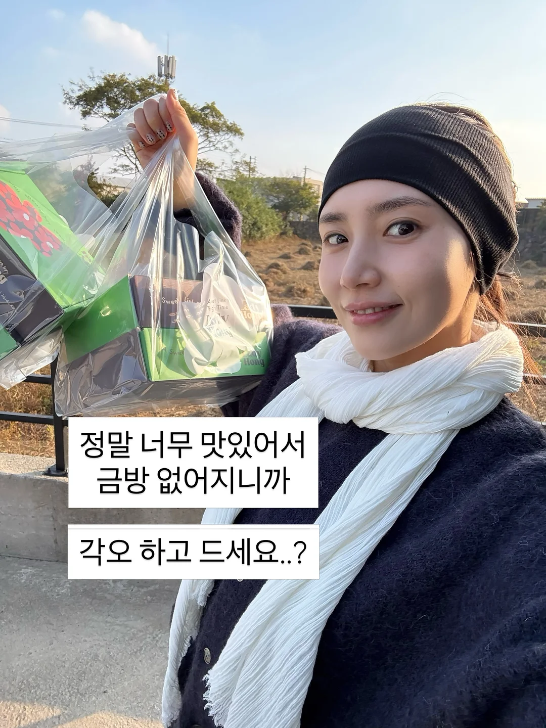 댄스 콤팩트 15