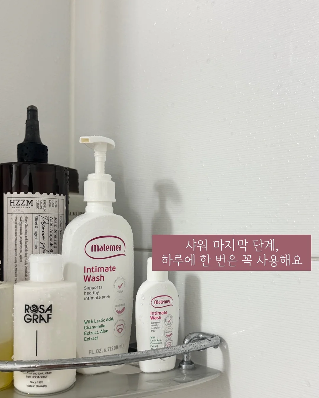 크랜베리 균주 6