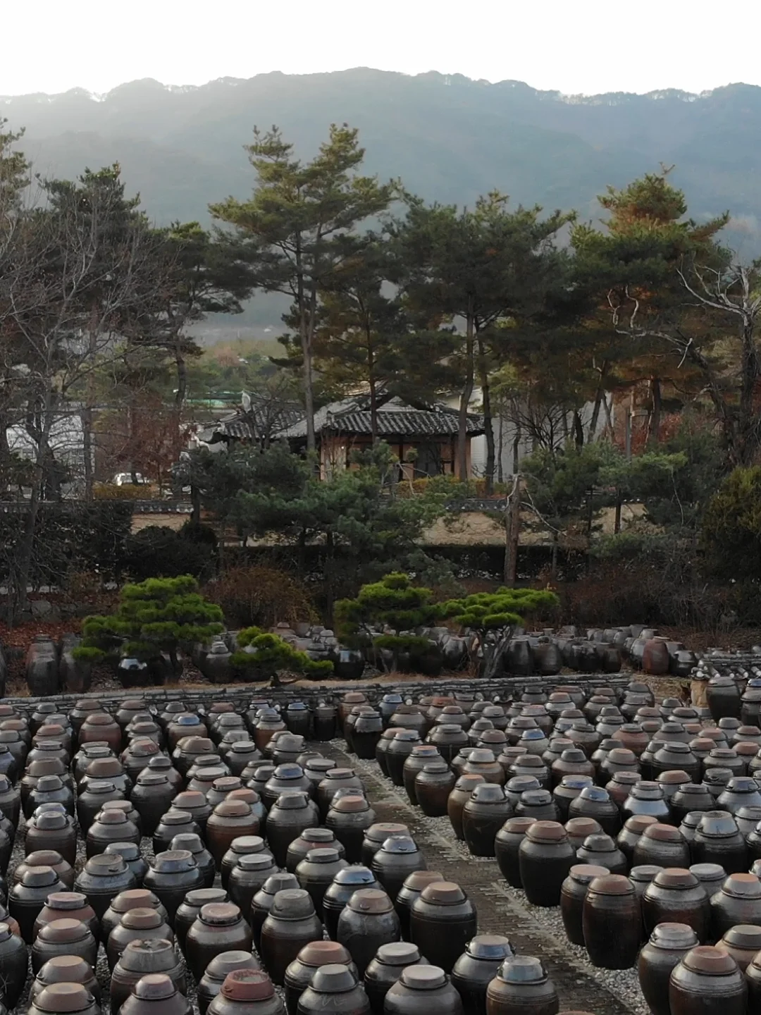 여름 해변 놀이 의상 3종 8