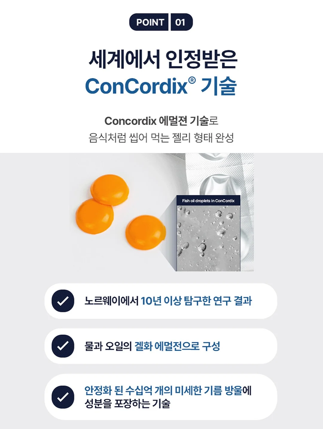 사각 모기장 4