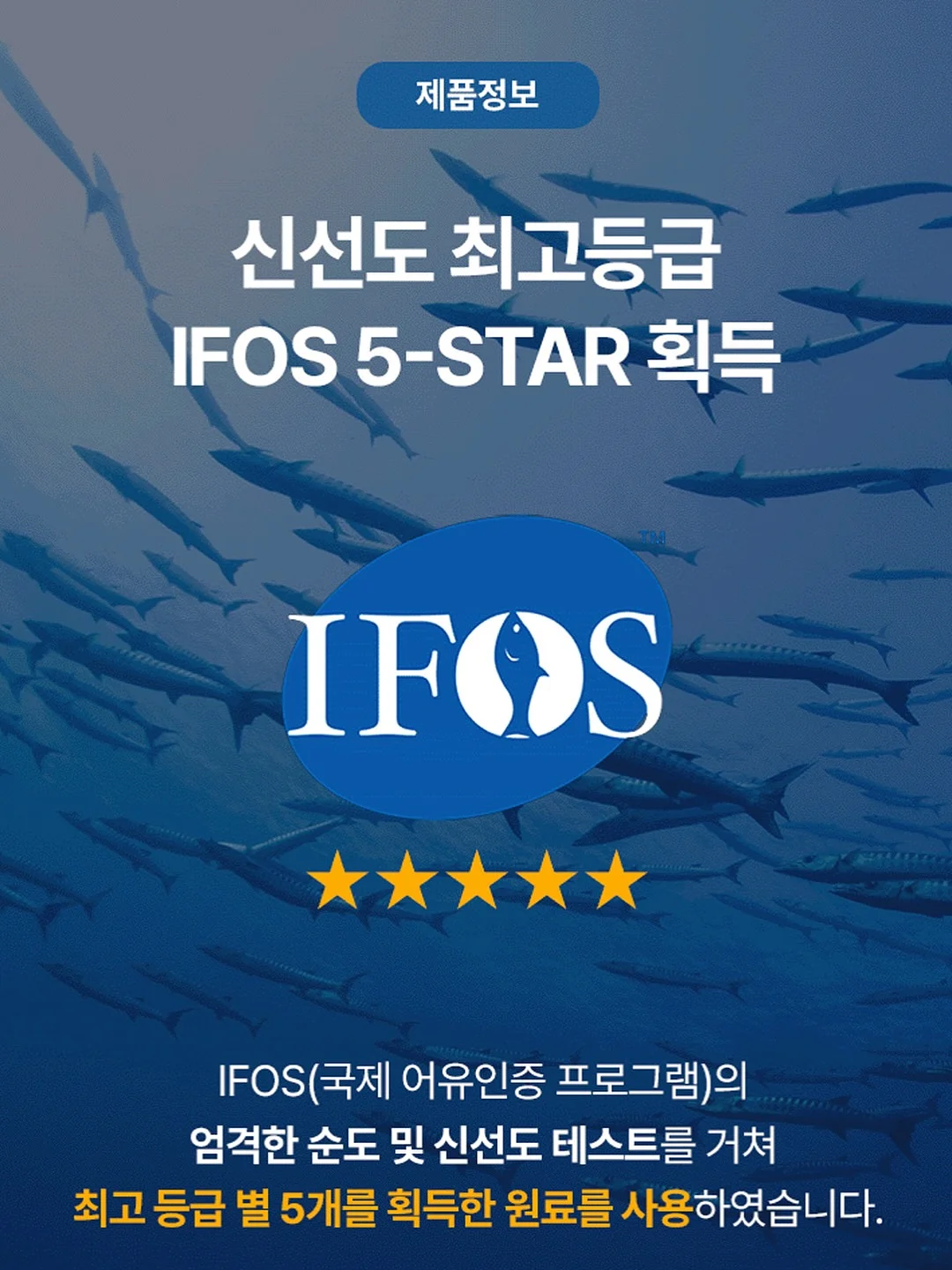 사각 모기장 6