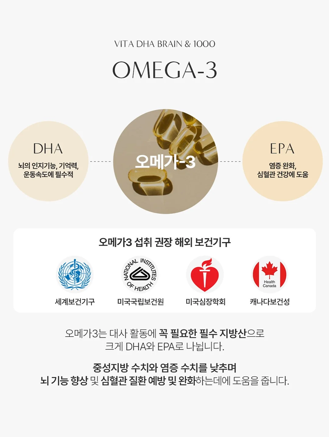 사각 모기장 8
