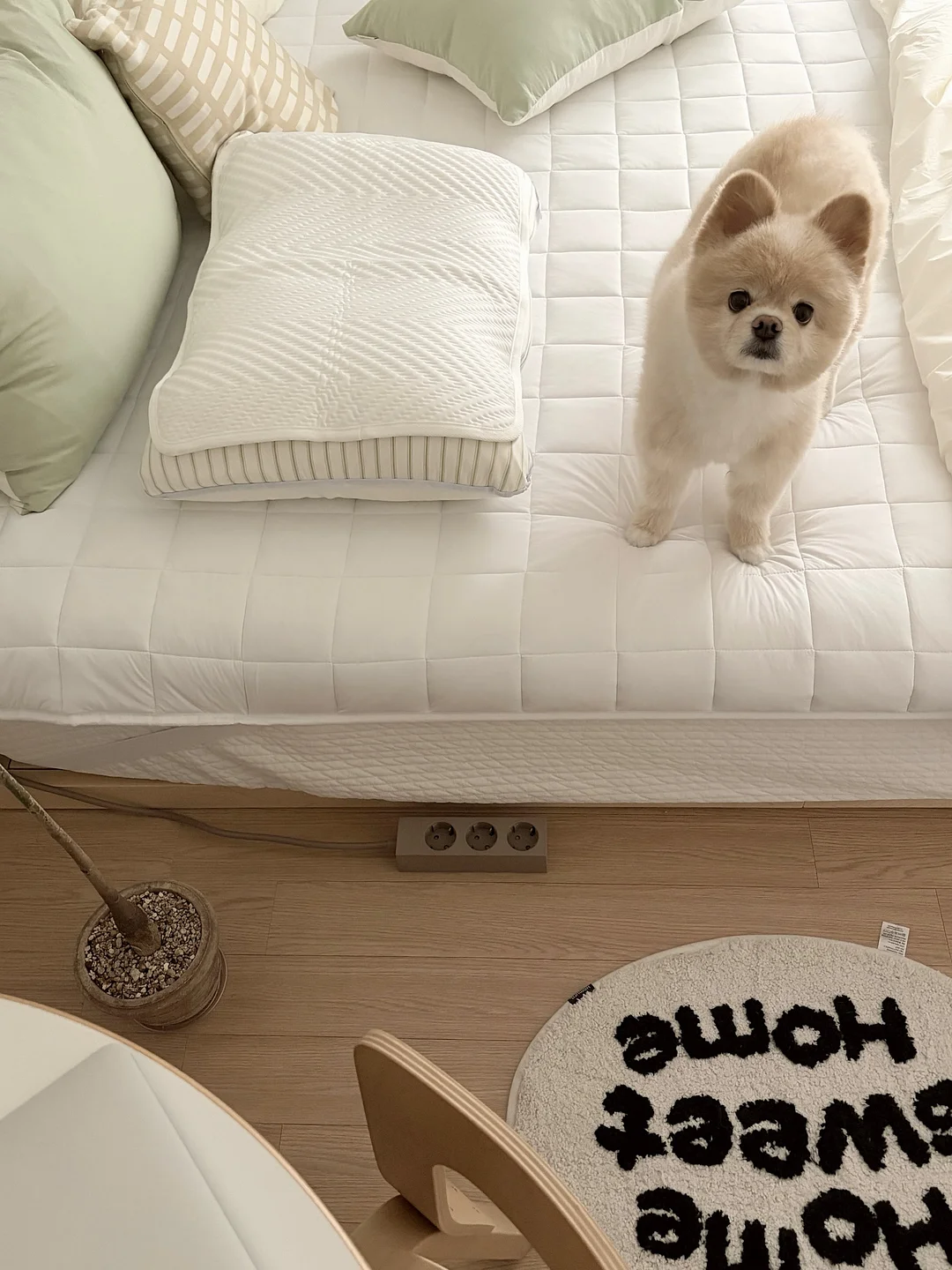 초간편 채칼 2
