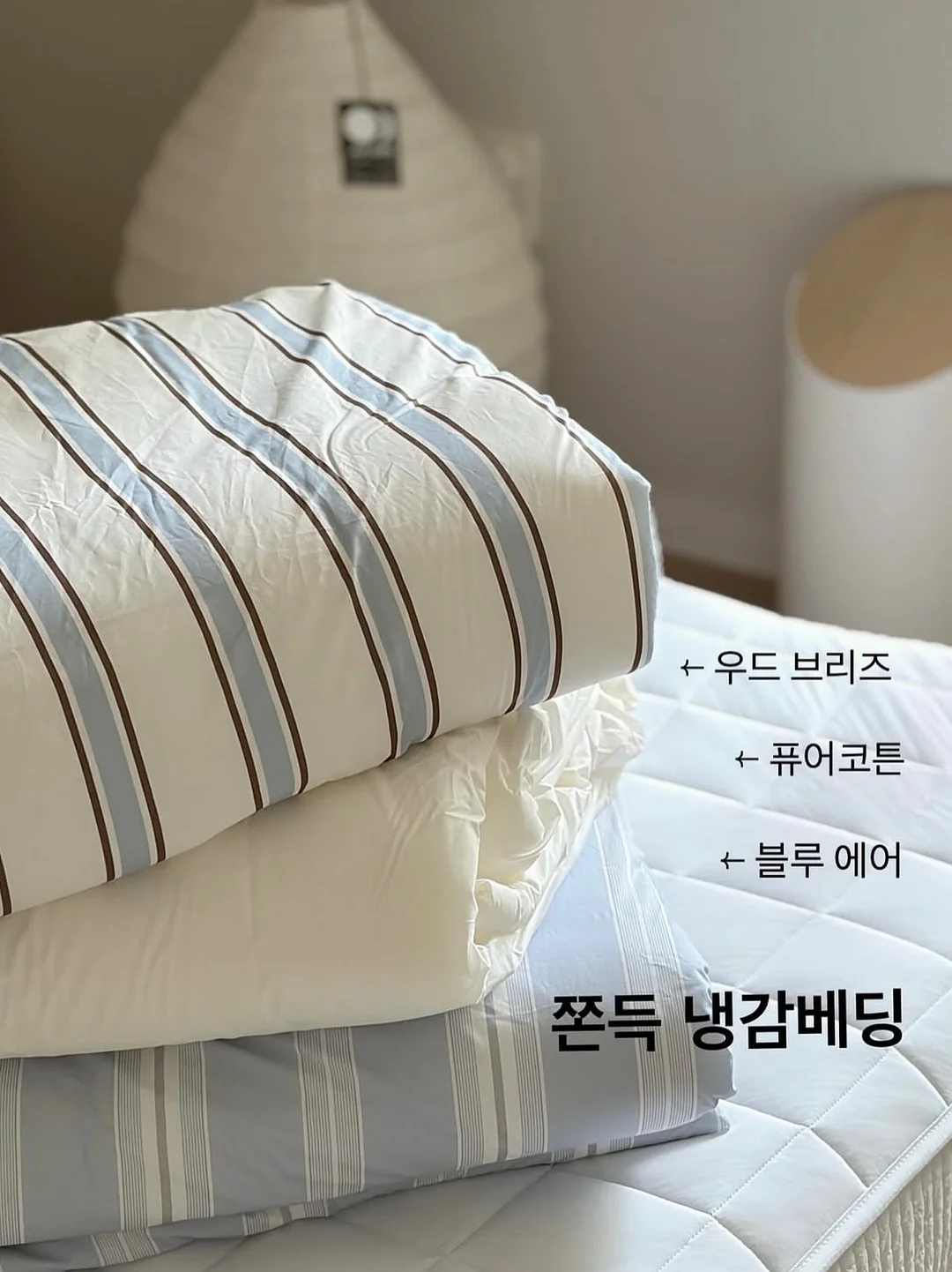 초간편 채칼 10