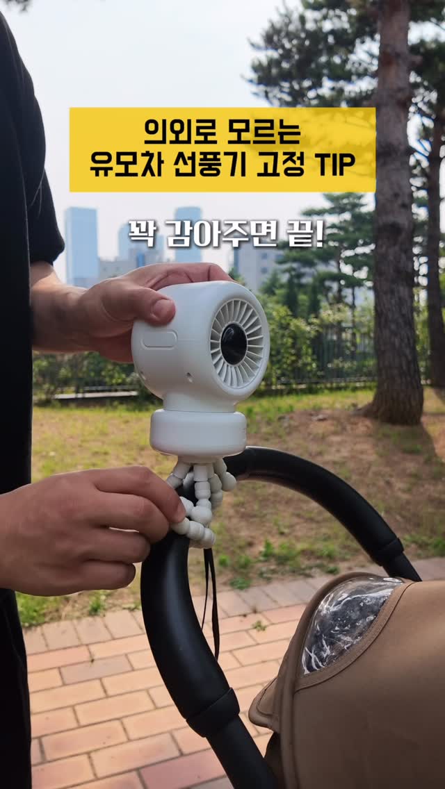 도마