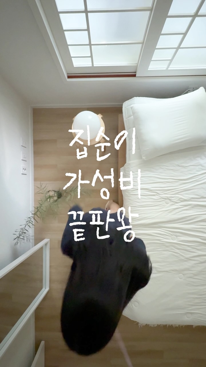 그그제 식물