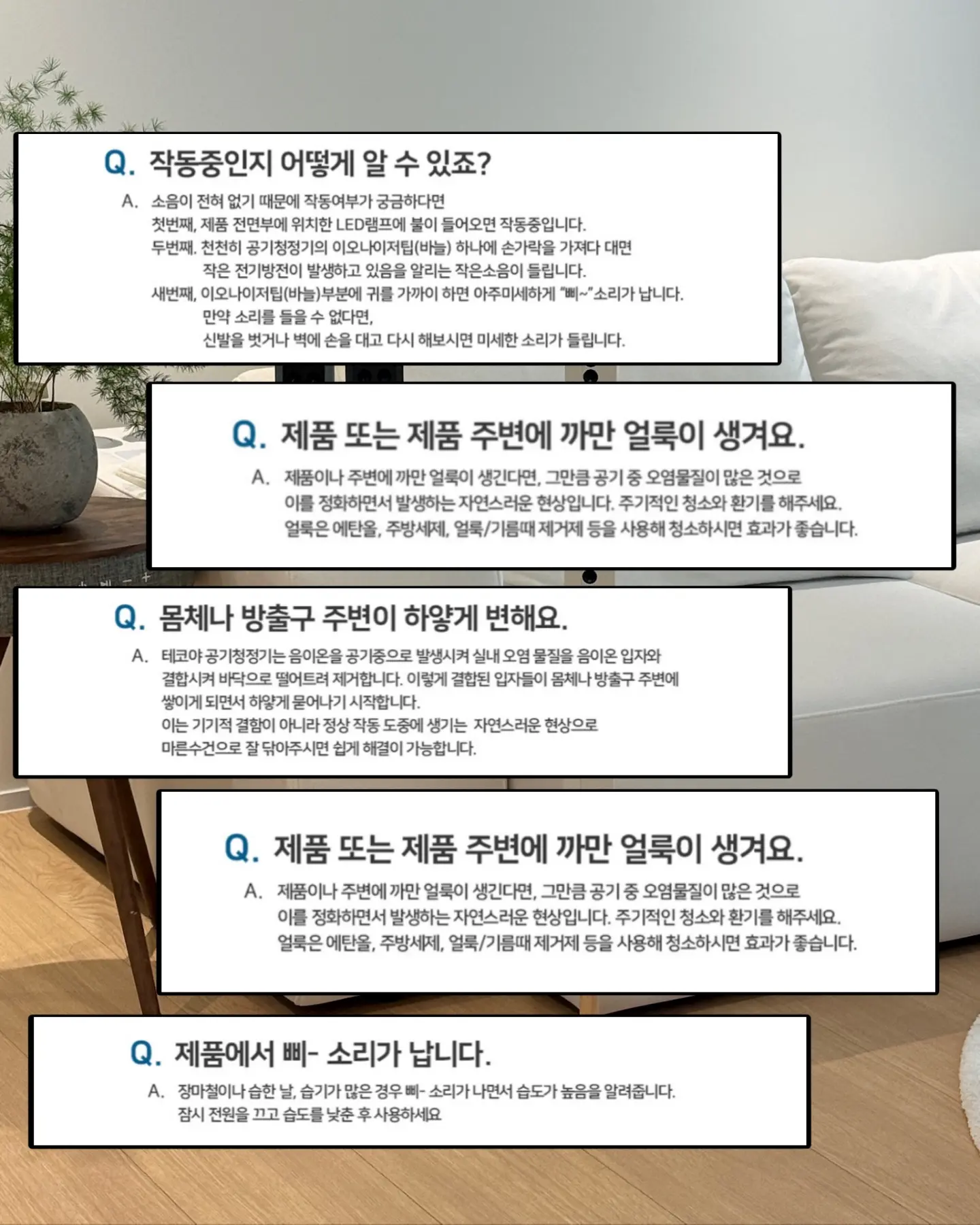 비비드몽타주 스파이시팝&스파이시팝 익스클루시브 11