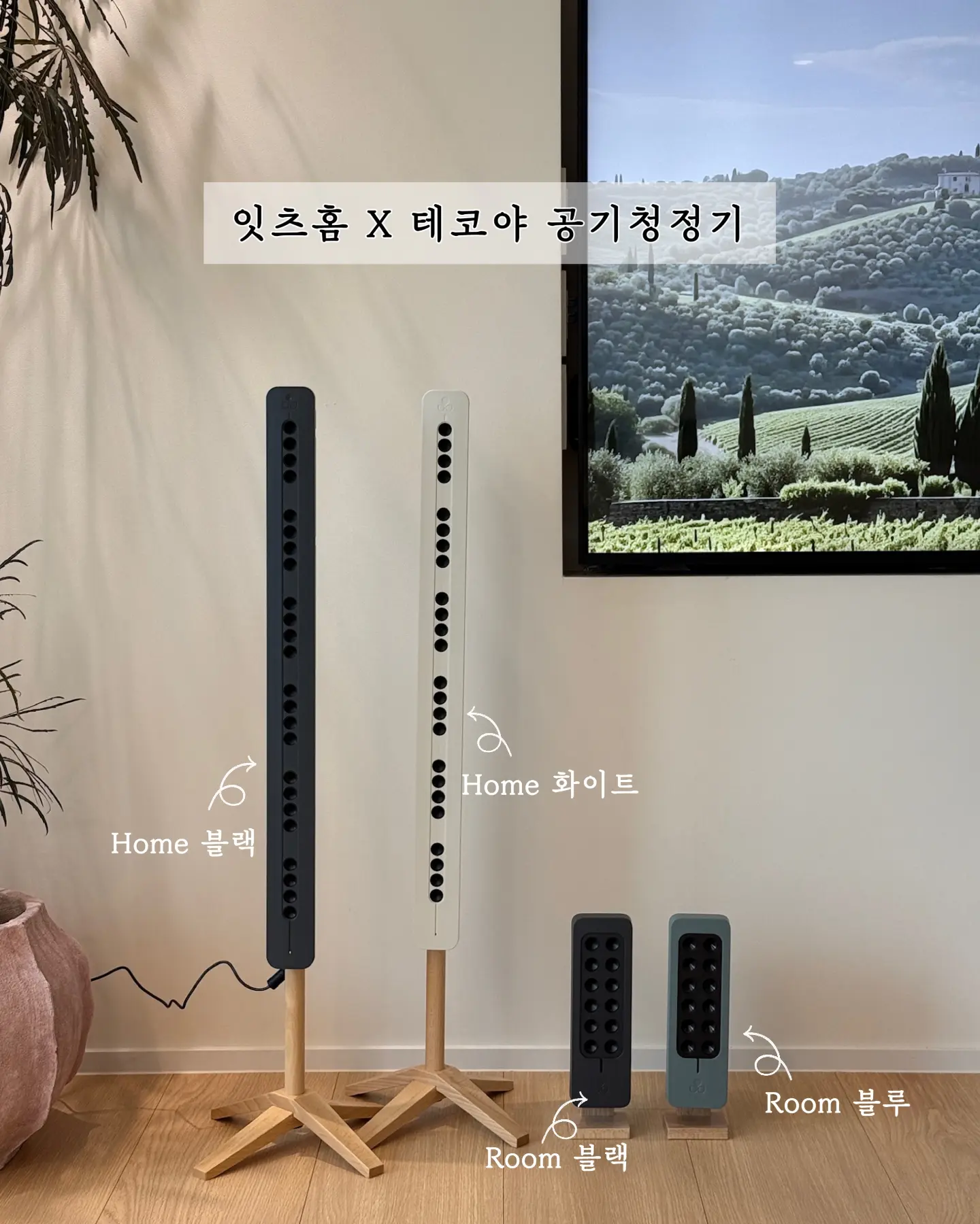 비비드몽타주 스파이시팝&스파이시팝 익스클루시브 8