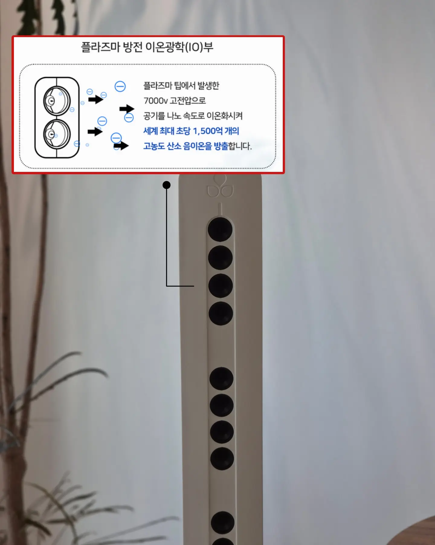 비비드몽타주 스파이시팝&스파이시팝 익스클루시브 9