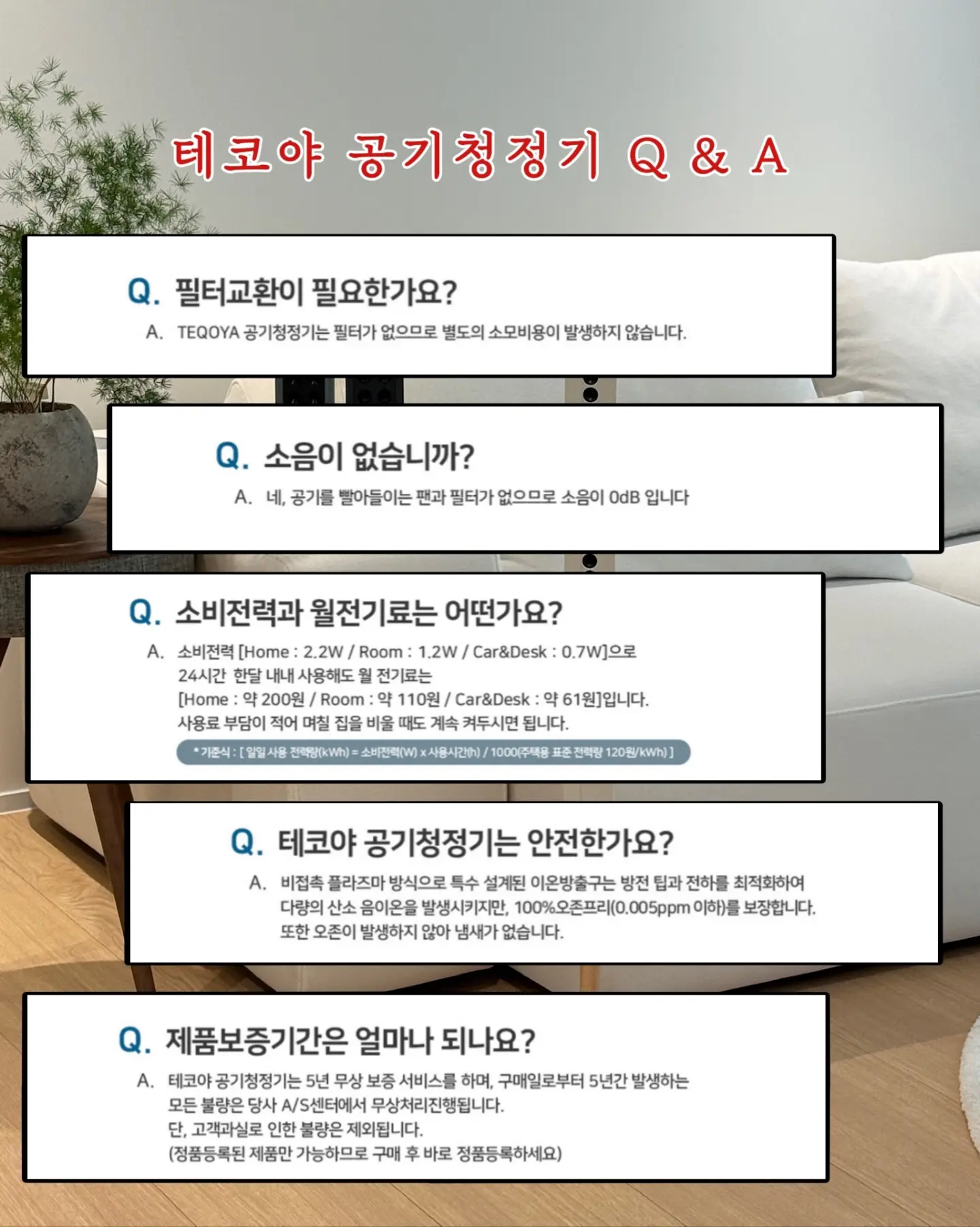 비비드몽타주 스파이시팝&스파이시팝 익스클루시브 10