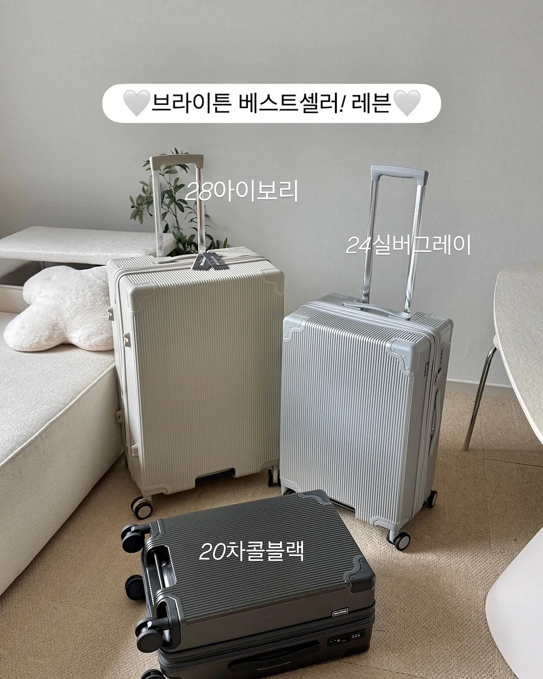 레이어드 팬츠 12