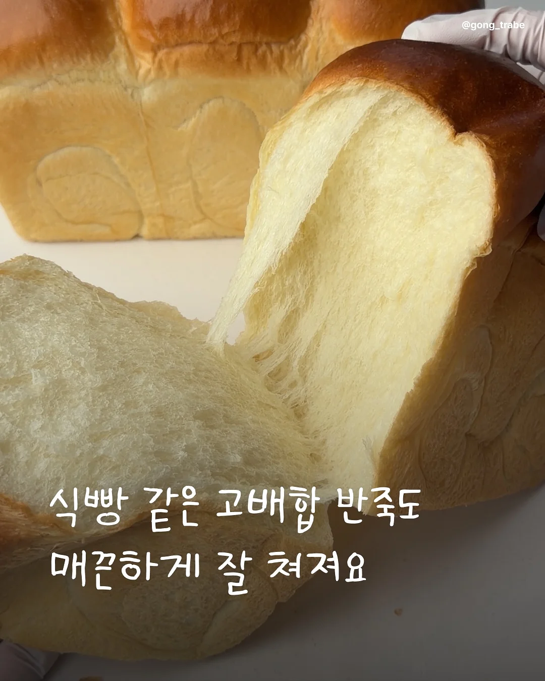 블루밍 데님 2