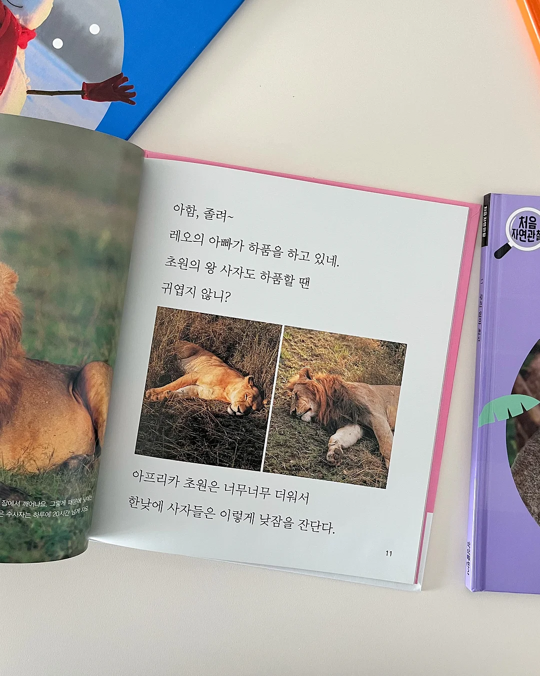 와인잔 수저받침 3