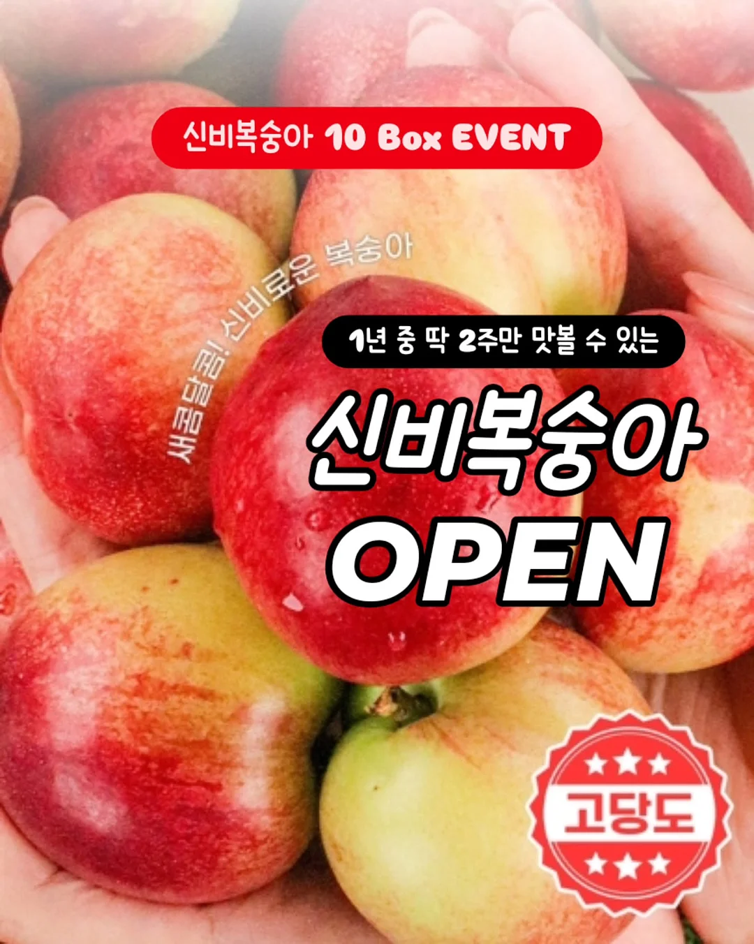 드롱기 마그니피카 스타트 라떼 1