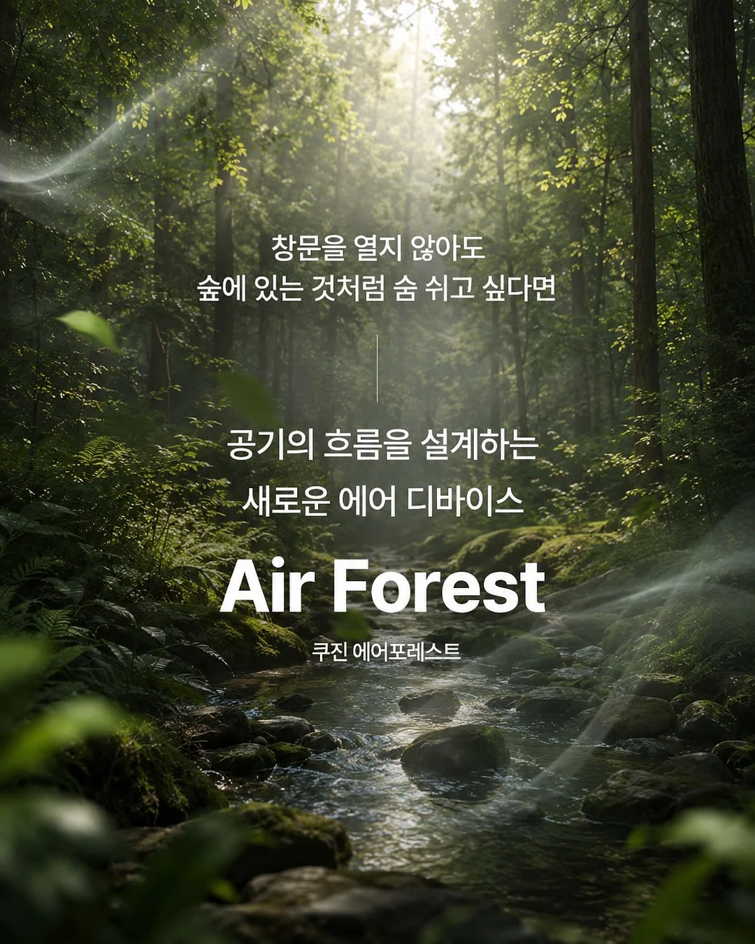 켄달잭슨 샤도네이, 베이비벨 미니 치즈, 라오스 마리나라 소스, 드시모네 키즈 유산균 5