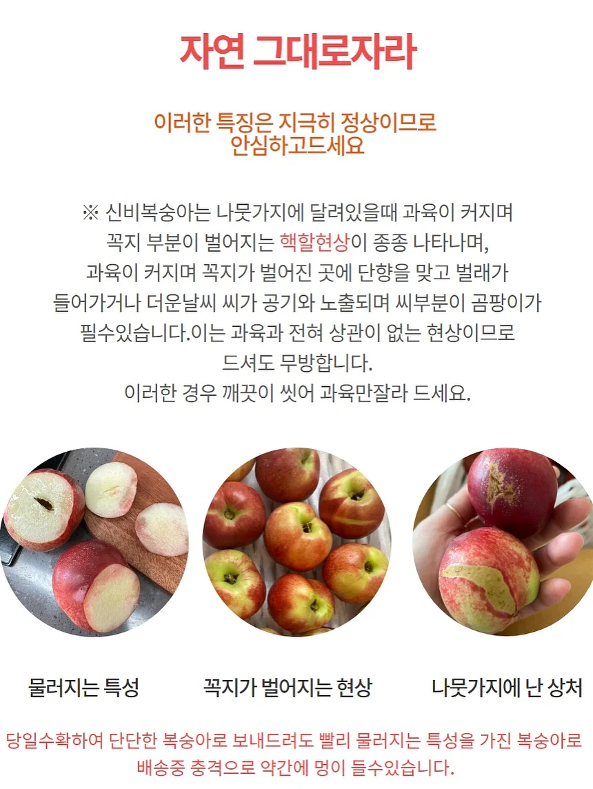 슈퍼젝션 앰플 홈키트 12