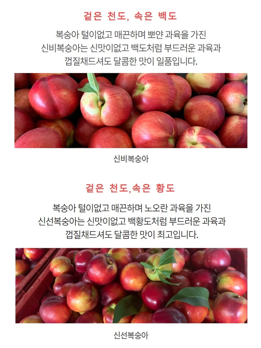 슈퍼젝션 앰플 홈키트 8