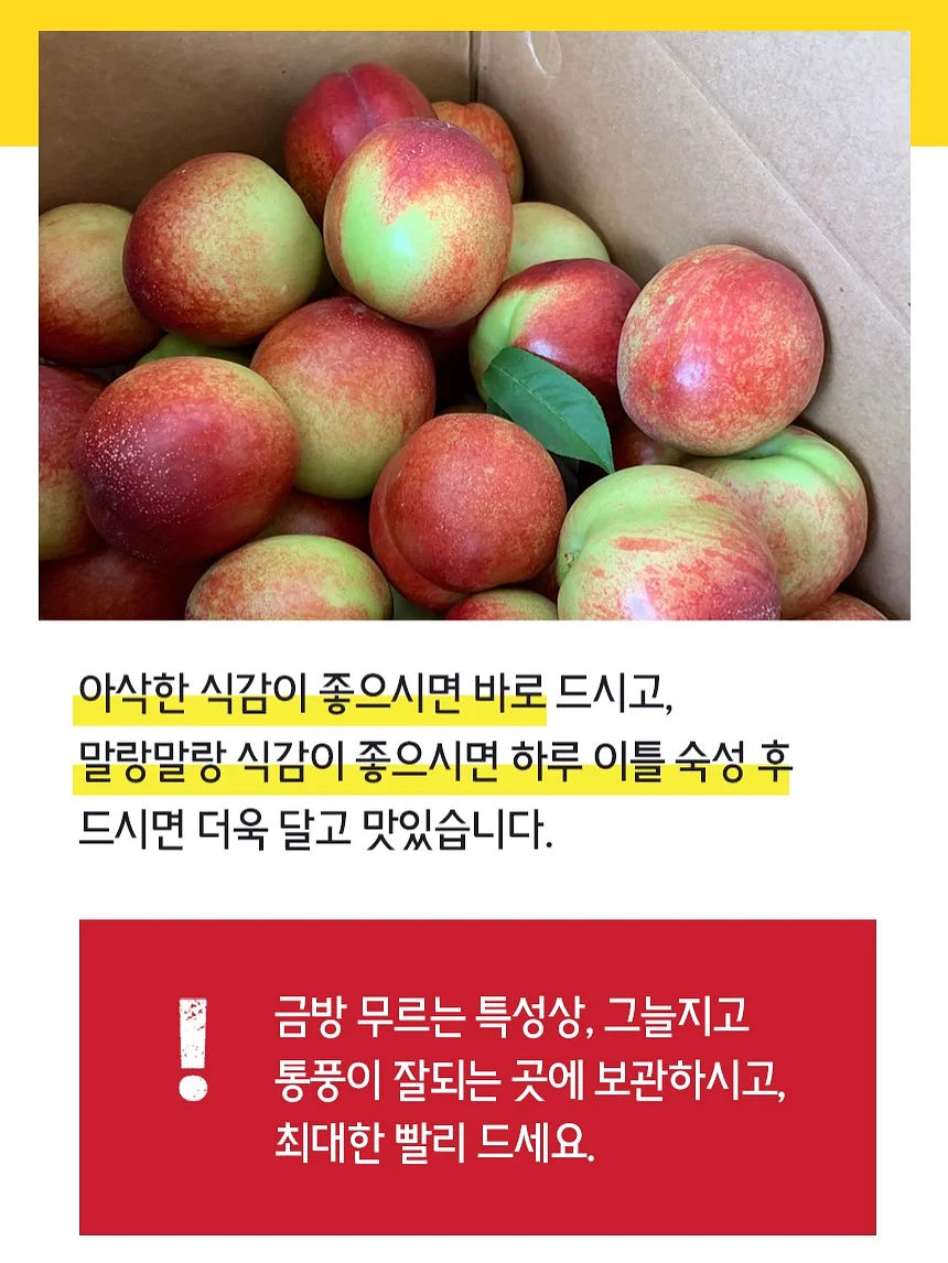 슈퍼젝션 앰플 홈키트 9