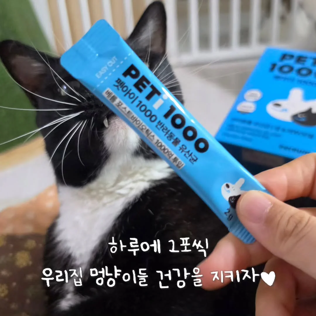 딸기 도안 세트 11