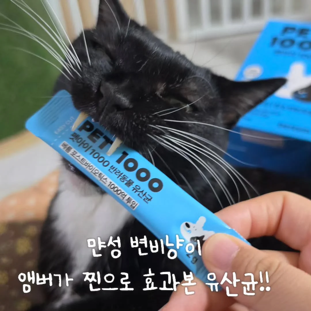 딸기 도안 세트 2