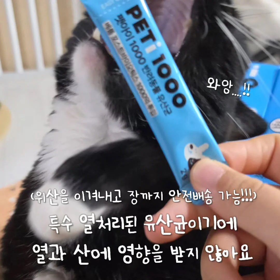 딸기 도안 세트 7