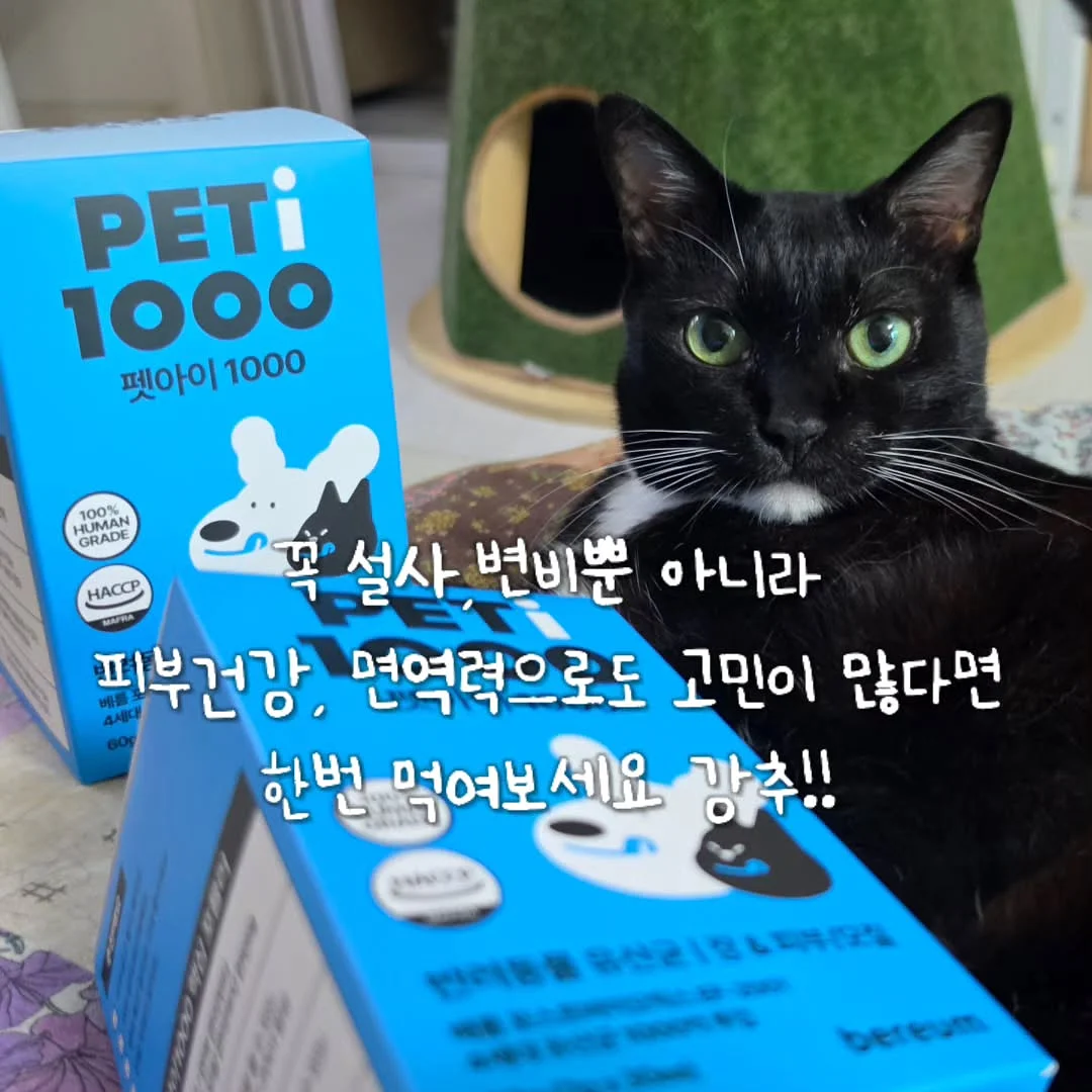 딸기 도안 세트 10